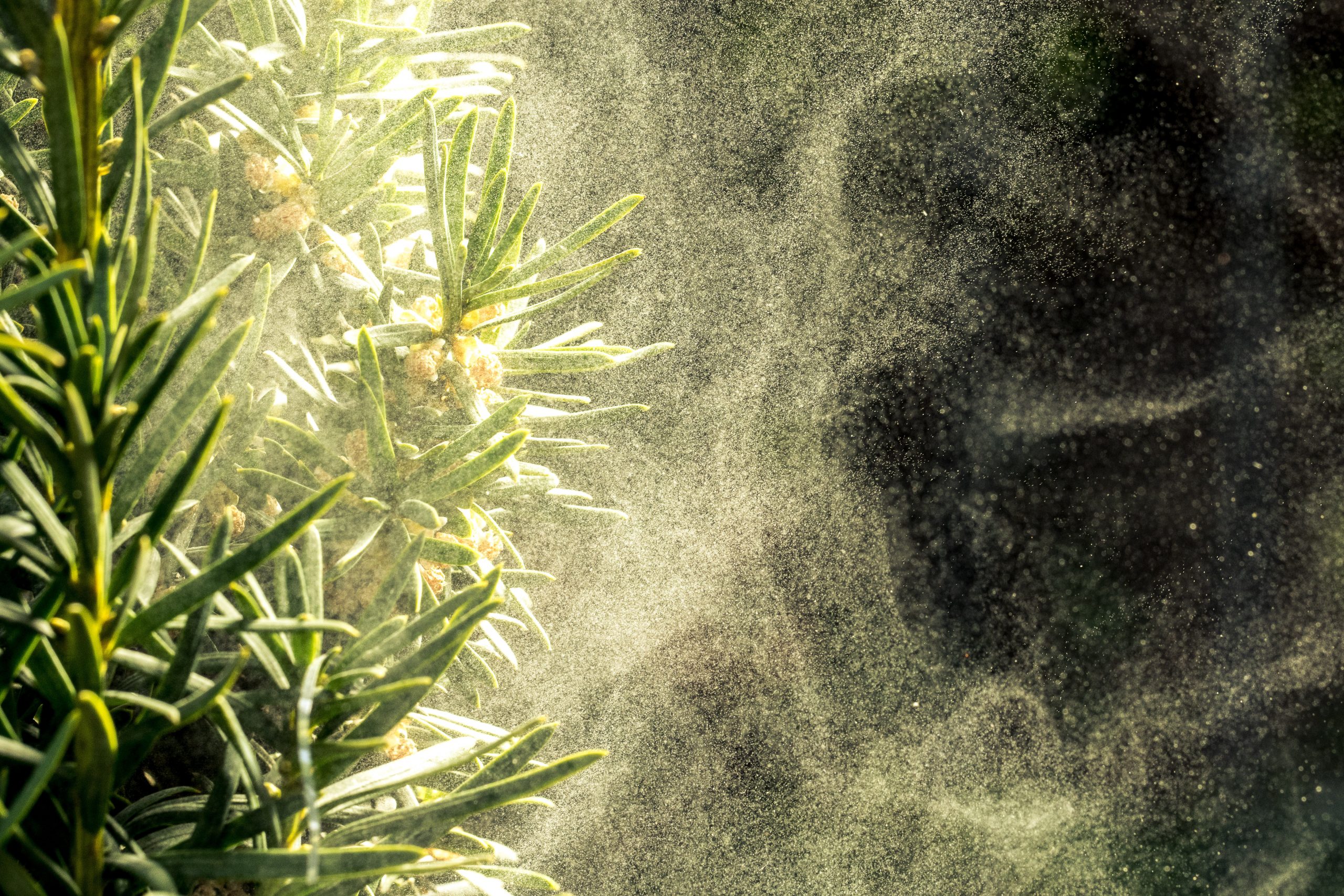 Gas Turbine Air Quality Challenges AAF International